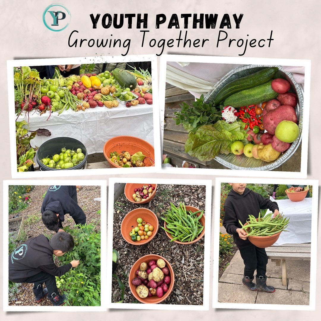 Youth Pathway CIC tweet media