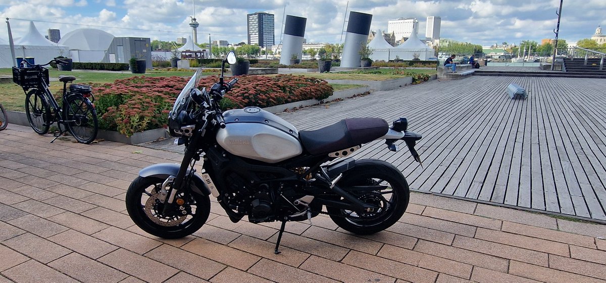 marko van weeren 🎹 tweet media