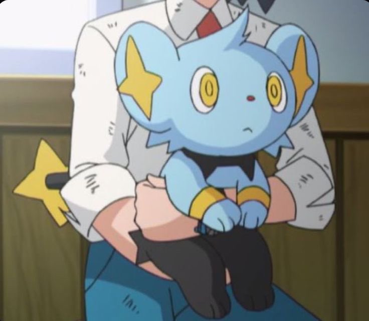 hold the Shinx