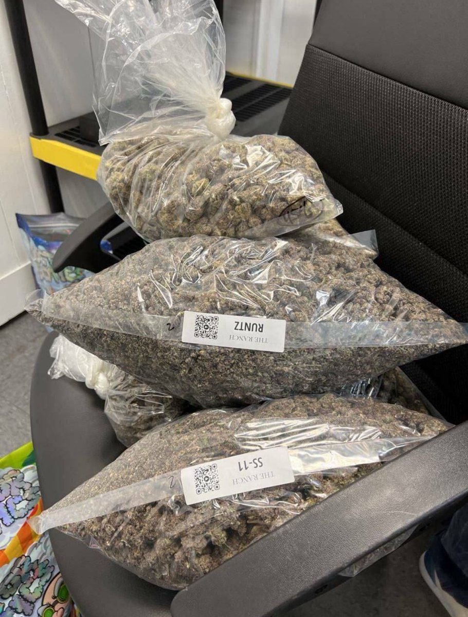 Yls_Pag's tweet image. 1winner which bag will you choose?

 A:runtz
B:SS-11