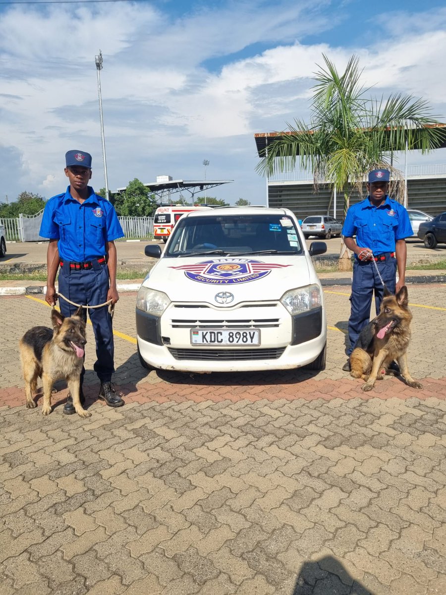 DasariSecurity's tweet photo. Dasari security K9
#securityeverywhere
#Dala7s
#dala7s2025
#kisumurfc https://t.co/VgwUSHmxxA