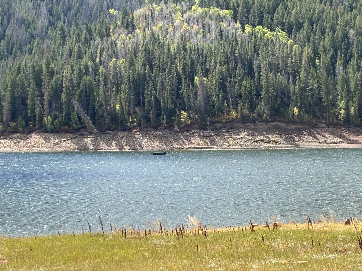 Madski99's tweet photo. Too windy for 🏄🏻‍♀️today but #ruedi reservoir still a nice place to be https://t.co/HJ0O4xqIh1