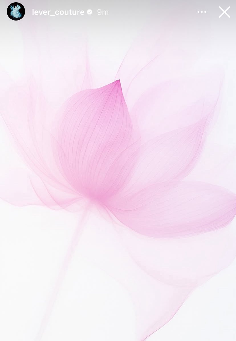 itswindylanddd's tweet image. ทีมสตลยังคงคอนเซปต์เป็นดอกบัวตามชื่อเรื่องตั้งแต่งานพรีเมียร์จนถึงวันนี้งานประกาศรางวัล ทีมลิซ่าคือที่ 1 ในการเล่นสตอรี่ลุคออกงานมากแล้วชุดโคตรสวย