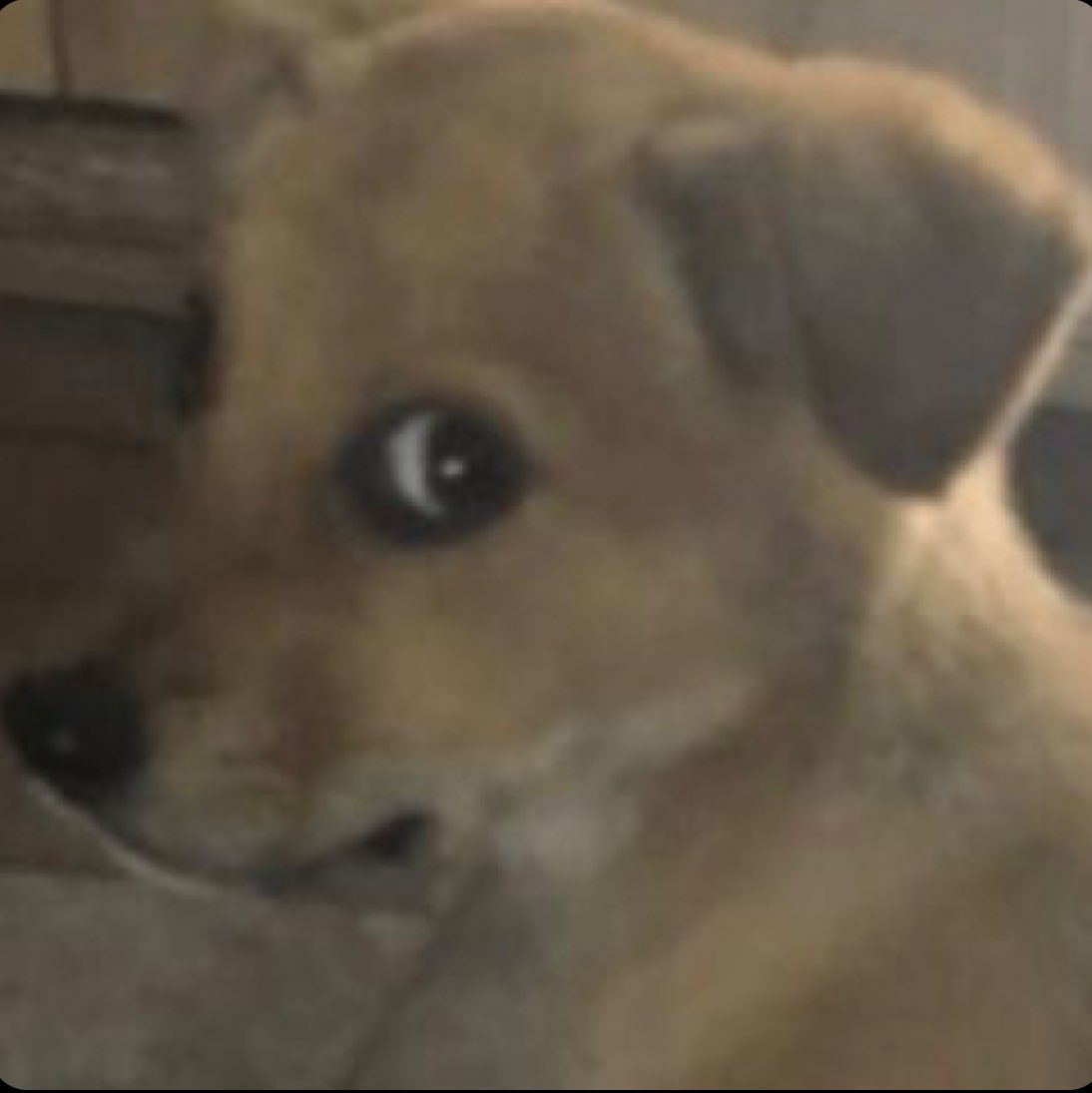 Joelma falando vem jesus no palco do The Town e as gays na plateia assim