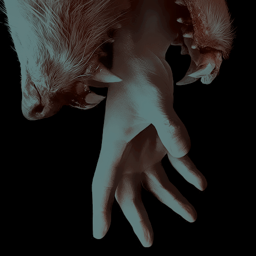 THXCERBERUS's tweet photo. ❝You’re not human anymore.❞ https://t.co/TKYyXUGNaG