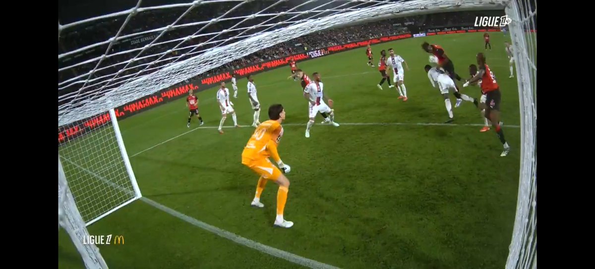 Têtard 💪 tweet media