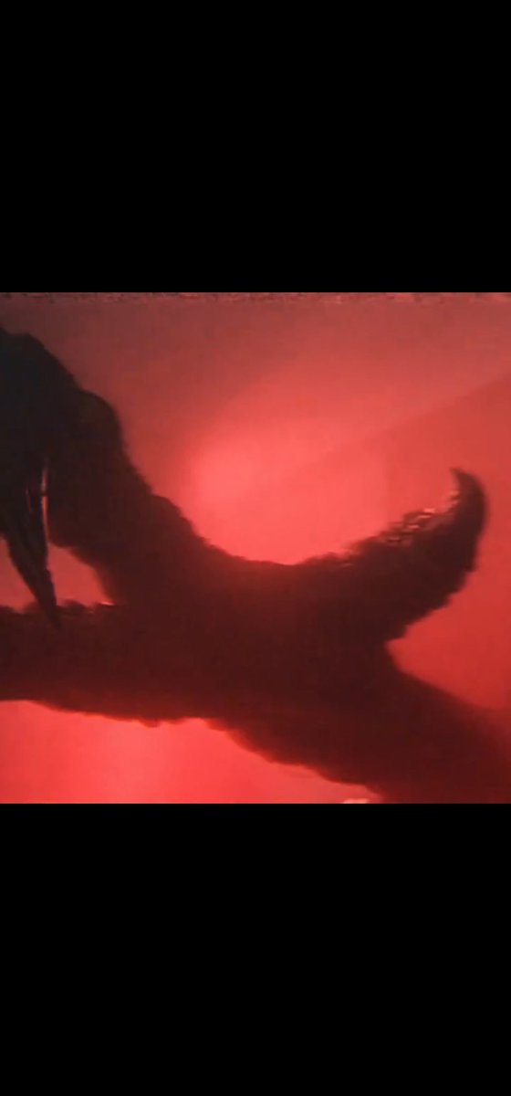 Velociraptor tweet media