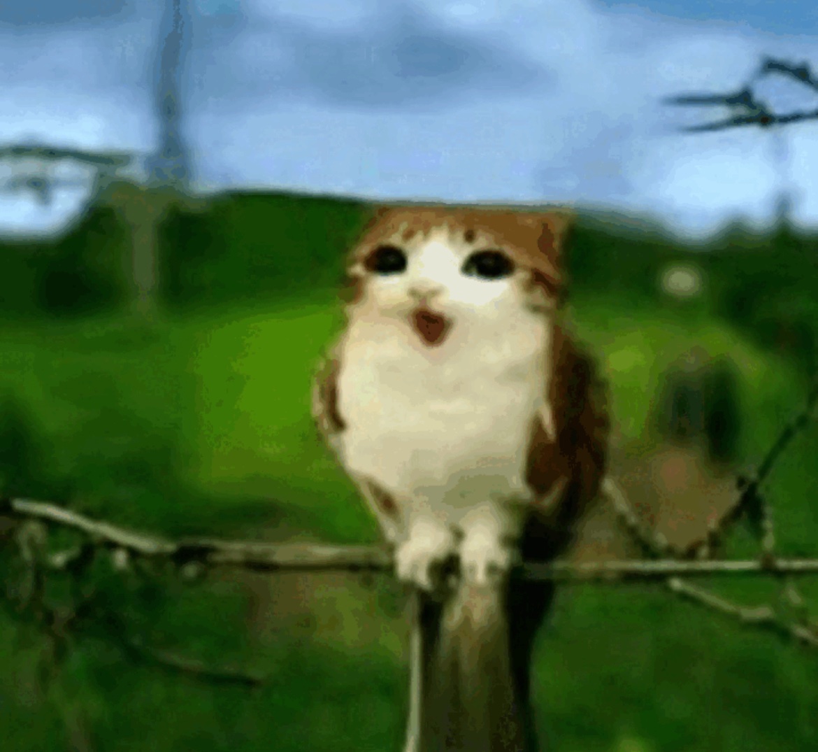 I already fixed all these bugs ages ago, but @/joadash is still working on some small art-related stuff for the update. So please don’t think I don’t care or that I’m being lazy, because I’m not. If it were just a tiny code-fix update, it would’ve been out already.