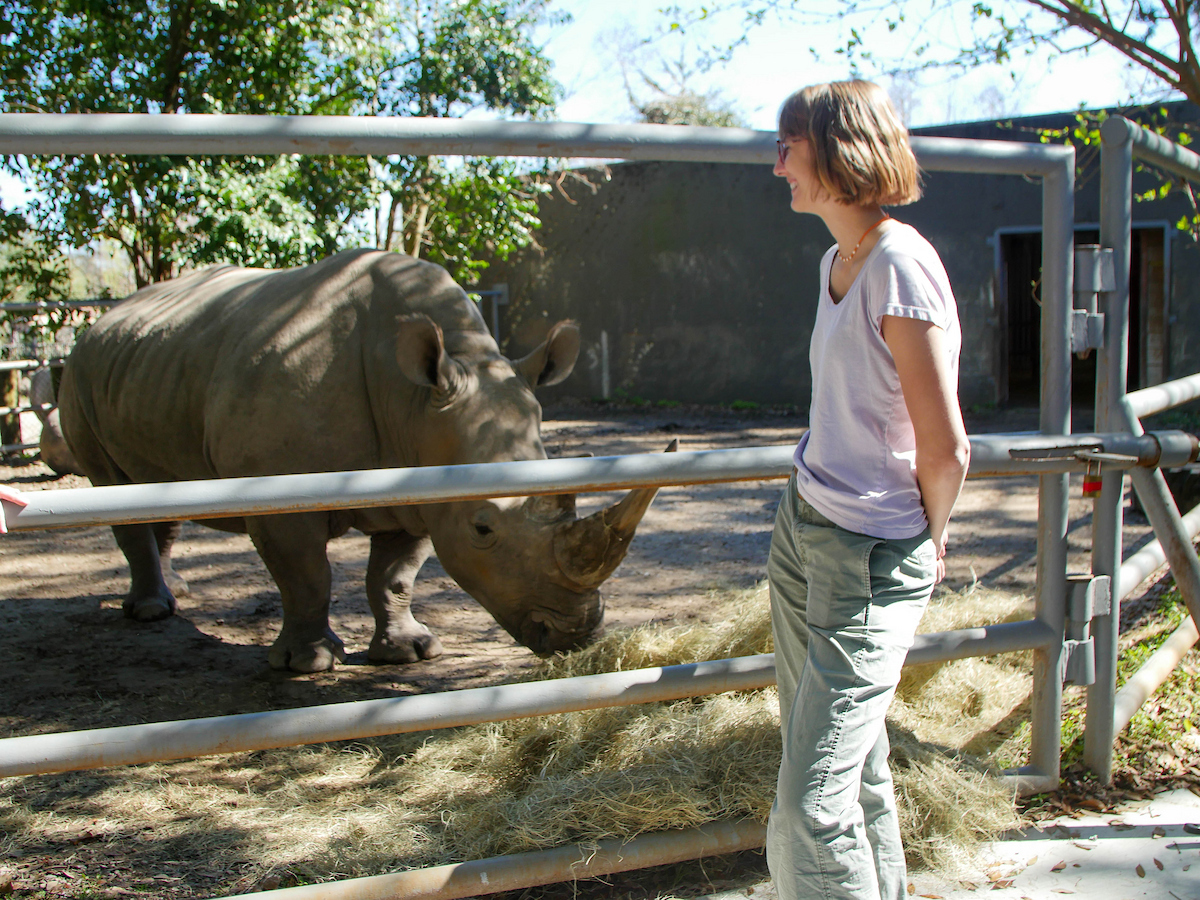 Get up-close with rhinos, jaguars, orangutans &amp; more in an exclusive behind-the-scenes Wild Encounter at Audubon Zoo! Meet expert caretakers &amp; support wildlife conservation. Reserve now: bit.ly/3Lsxzbu