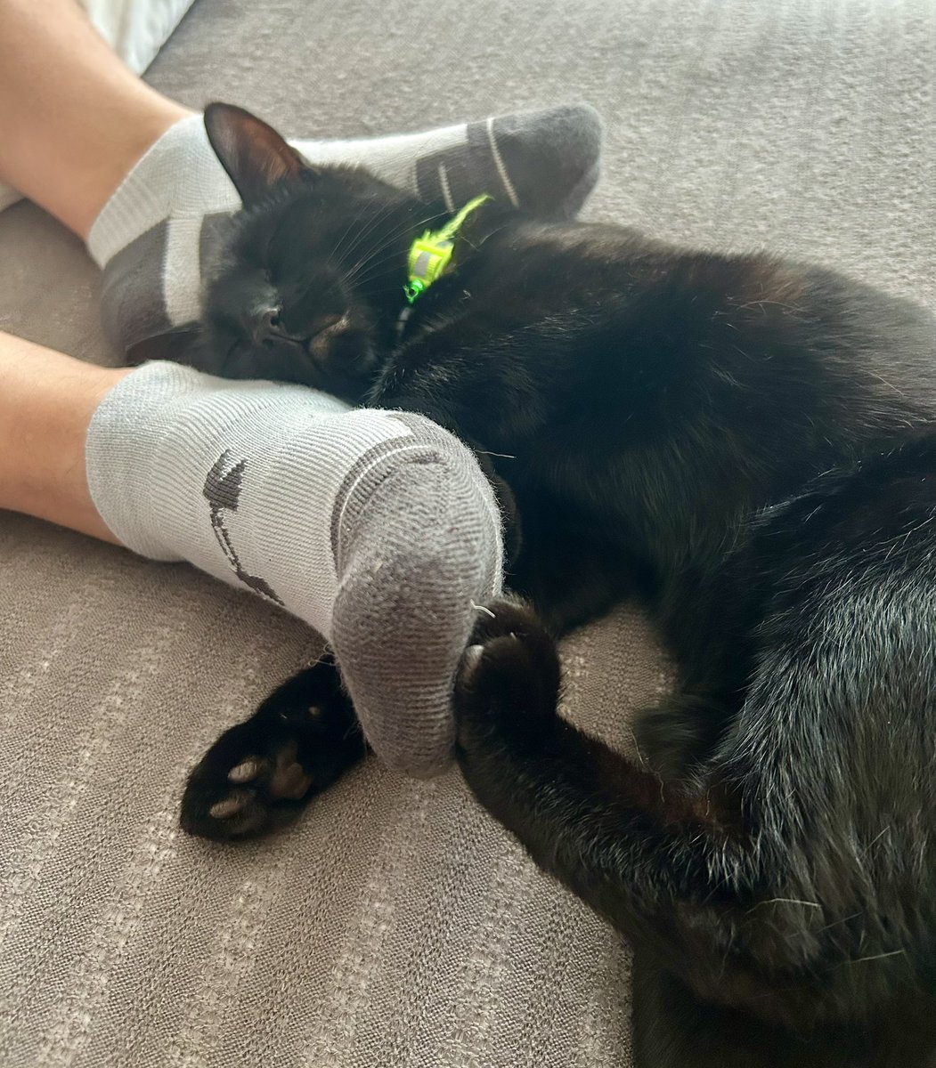 ailuj_40's tweet photo. I will love you ‘till you love yourself🤍
#Trauma 
#Healing 
#CatsOfX https://t.co/9IlrThCAt7
