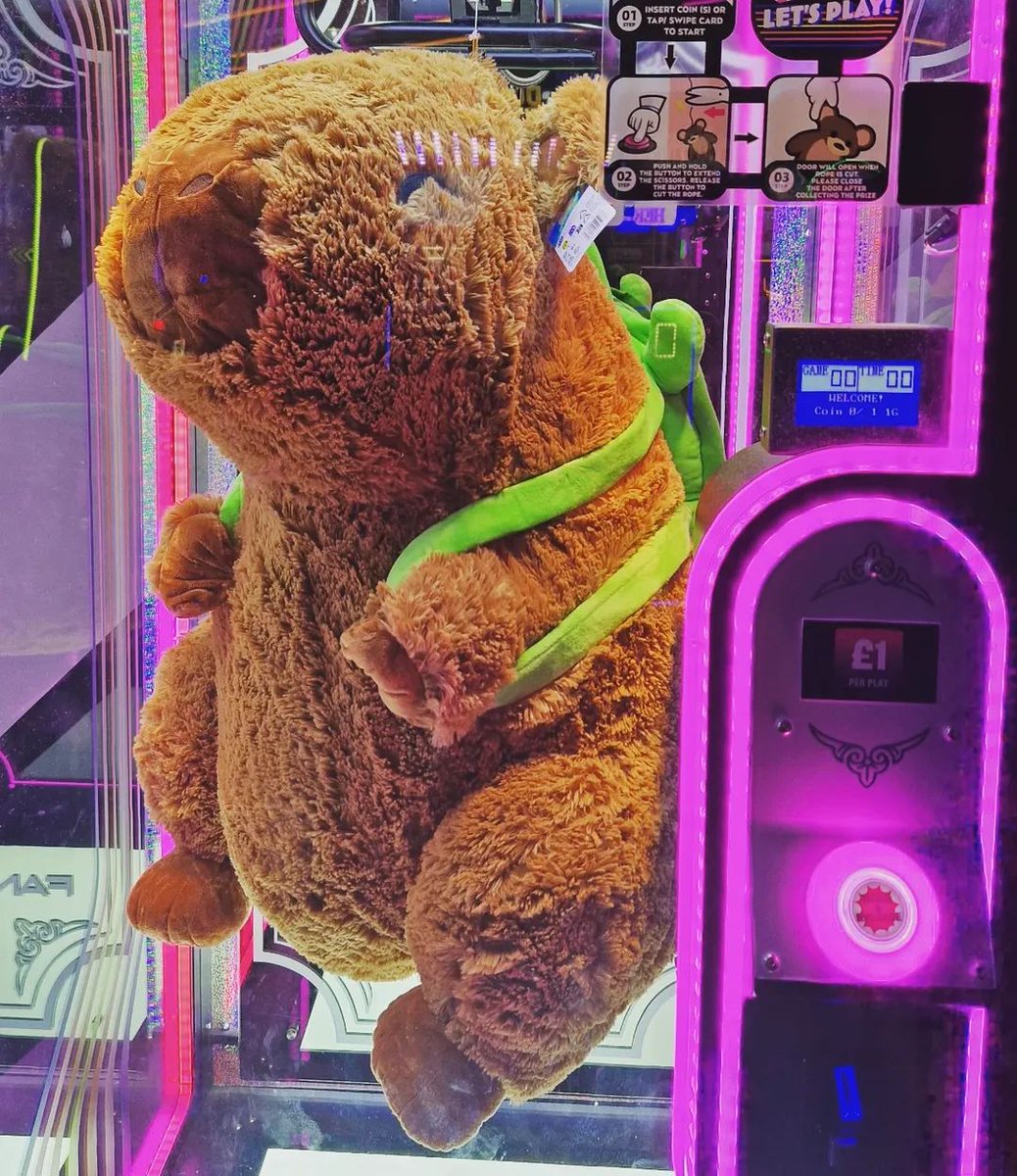 Omg I want to win this, but I feel like this is a scam 😻🤣