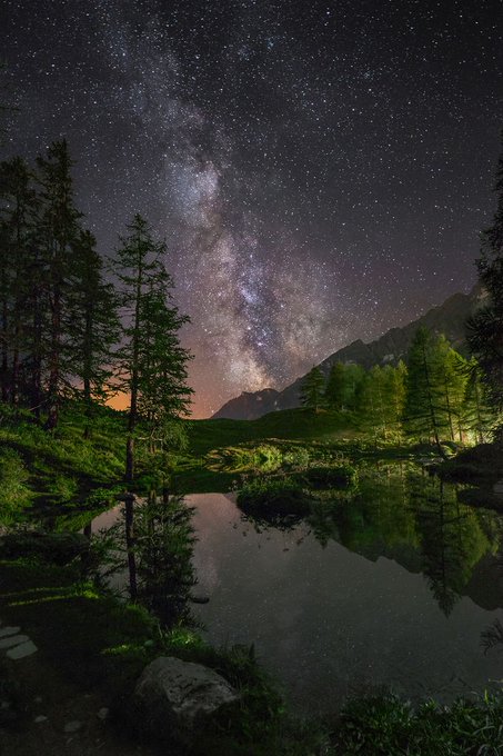 A serene night scene with the Milky Way galaxy visible in a clear, starry sky. Tall pine trees and mountains frame a calm lake reflecting the stars and surrounding greenery. The landscape is illuminated by soft, natural light, highlighting the tranquil setting.