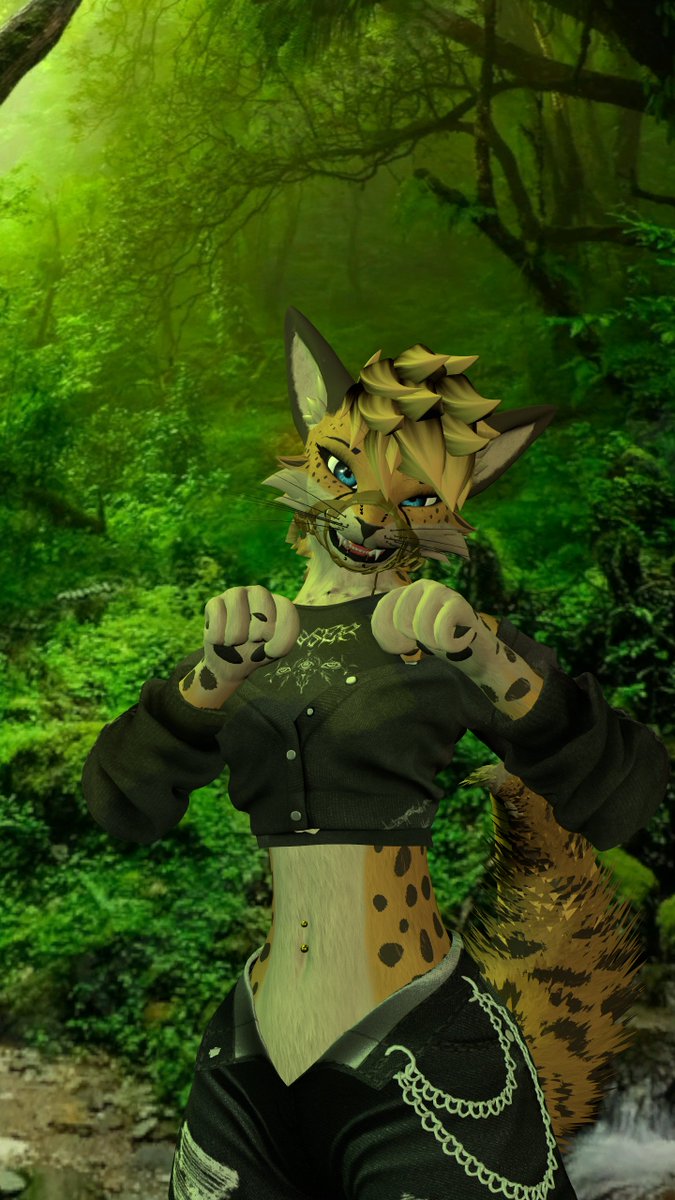 Rawr Kitty in the wild meow x3🧡
