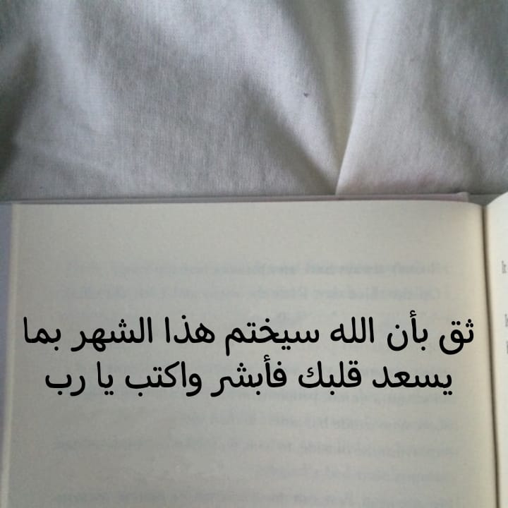 أقوال وحكم الفلاسفه tweet media
