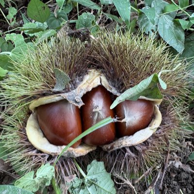 okuusa's tweet photo. #新しいプロフィール画像 https://t.co/jvJpvtAtE8