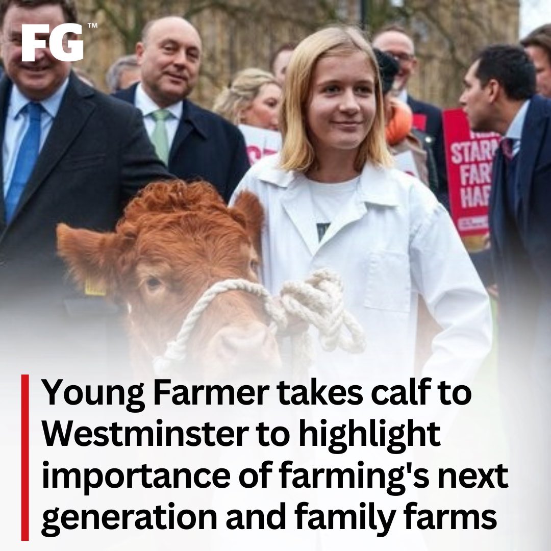 Second in beef pairs at Henley Show yesterday with two pedigree Limousin heifers. 
Getting these cattle to this stage is a huge effort but very special 
And if you recognise Bella and her calf Vicky…..
<a href="/LimousinUK/">British Limousin</a> 
<a href="/FarmersGuardian/">Farmers Guardian</a>