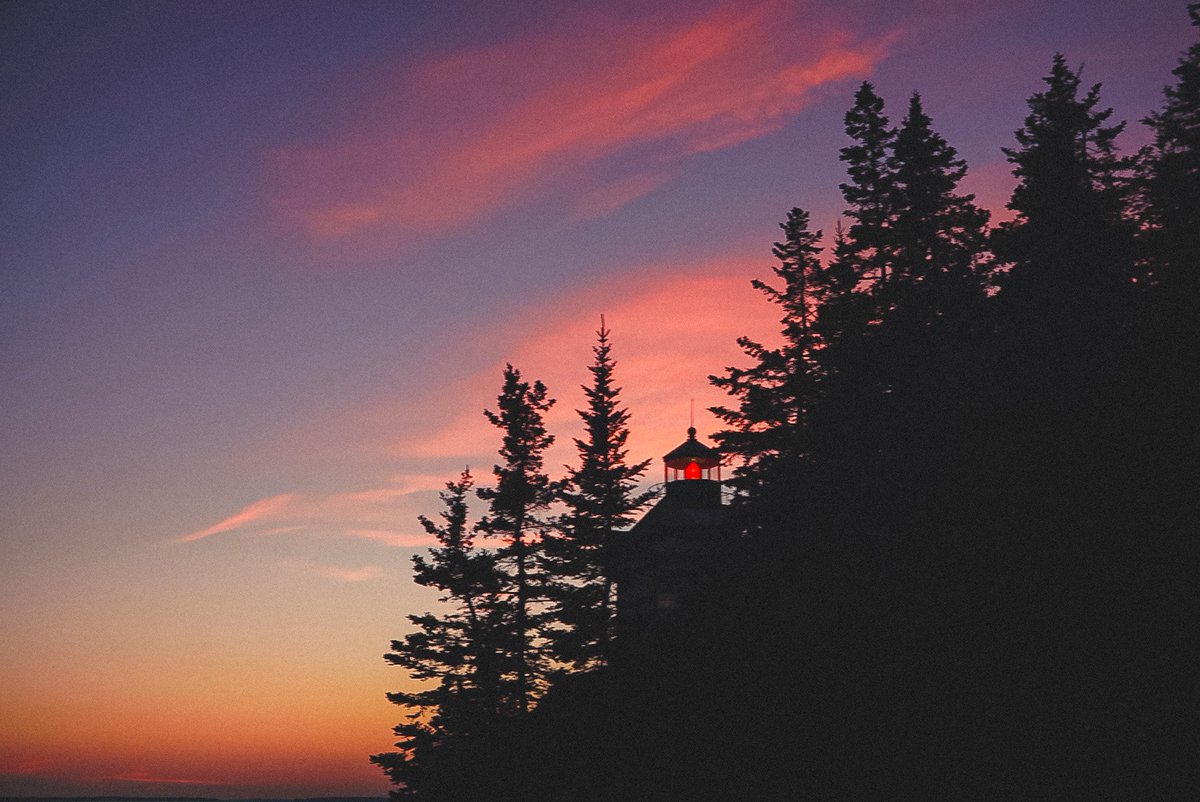 Nevin Johnson tweet media