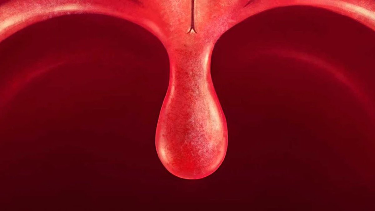 Son zamanlarda en fazla acı çeken küçük organ, ne çektin be.