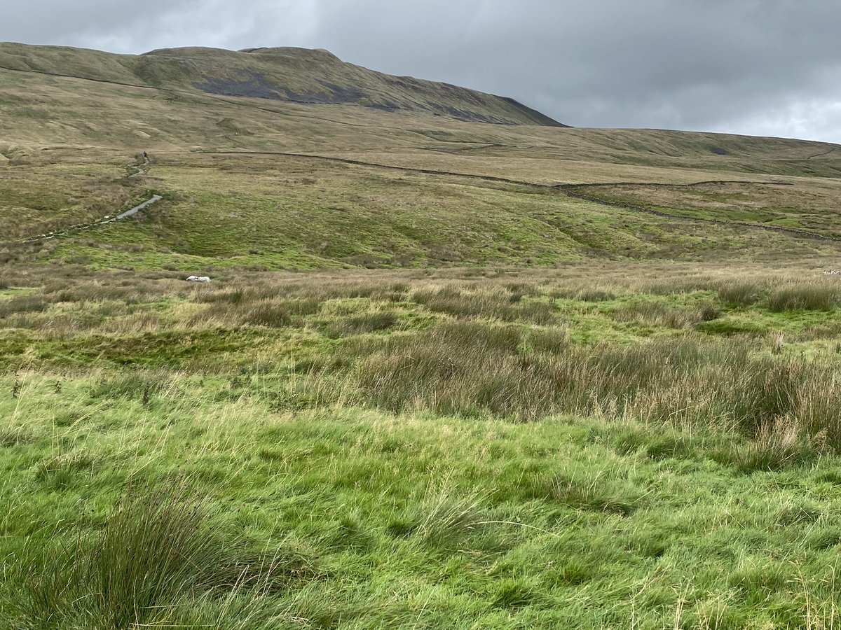 Looking forward to Friday, hopefully weather is with us. Please support where you can