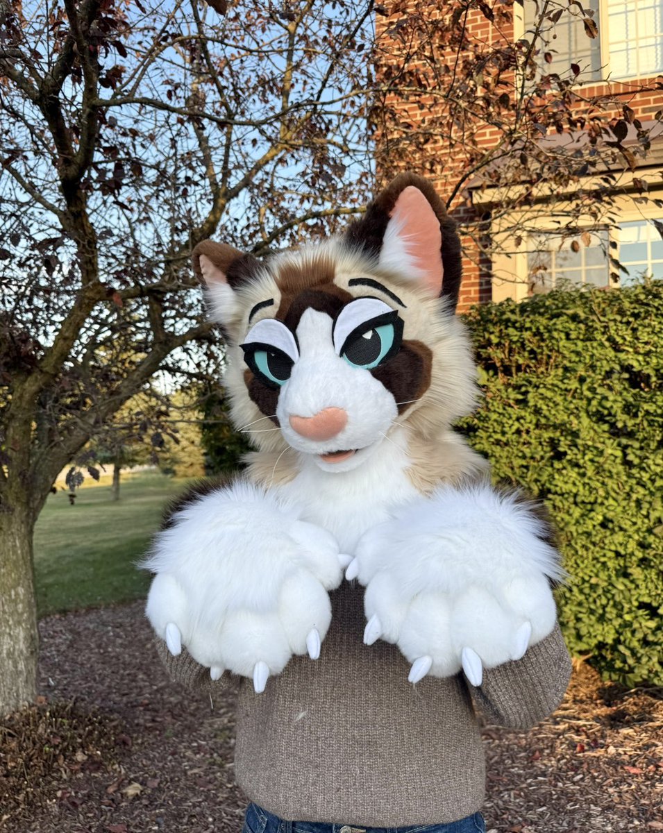 🐱🍂☕️Embrace the cozy hues of fall with this ragdoll cat fursuit premade! Now available on the Dealer’s Den, info is below. 🖤🤎🤍