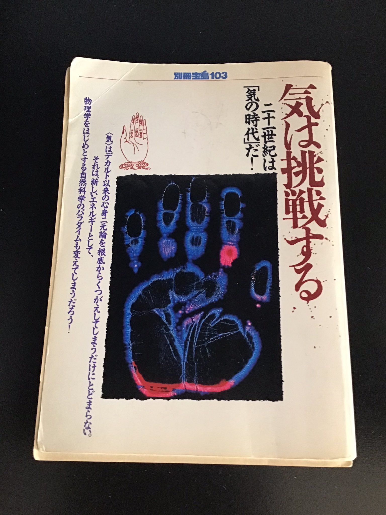気は挑戦する 〜20世紀は気の時代だ〜 別冊宝島103