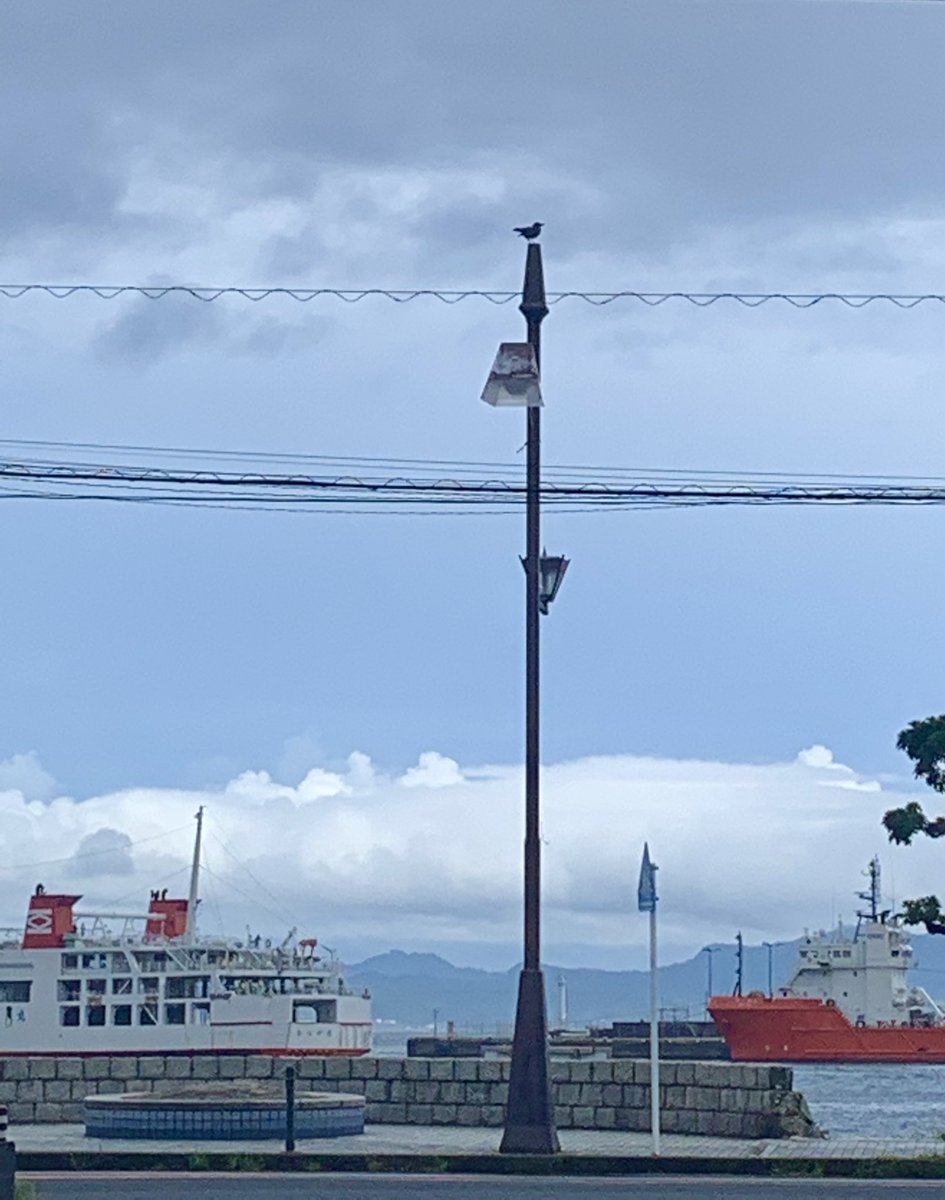 myao_my1's tweet image. #charmy散歩

おはようございます☕️よい一日を

#久里浜
#FreePalestine