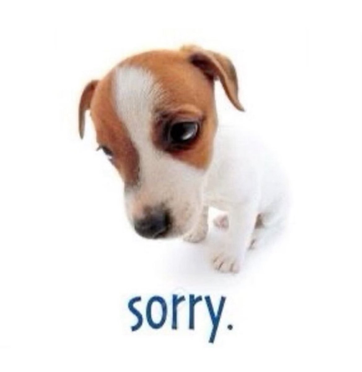 comfystas's tweet image. . ํ ݃ ۪  🌟 sorteo 150 robux,
              by   perrito.

🥇ꢾ𓍢ִ໋ solo un ganador ᤳྀ

                        𝓻 ◌equirements:

• like y retweet αquí. 
• follow comfys.
• comentar una foto random. 

𓈒◌.  tiempo límite: ?