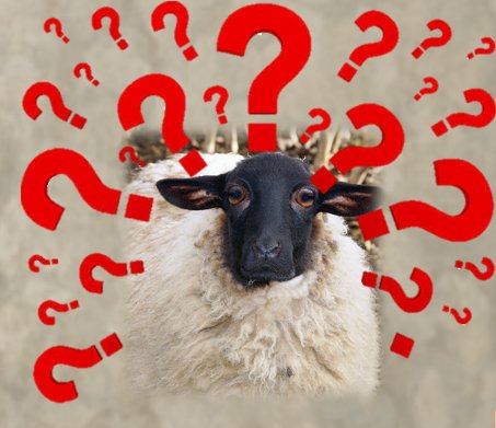 Yo cuando me empiecen a caer tantos palos en la defensa que no sepa ni por dónde me vienen