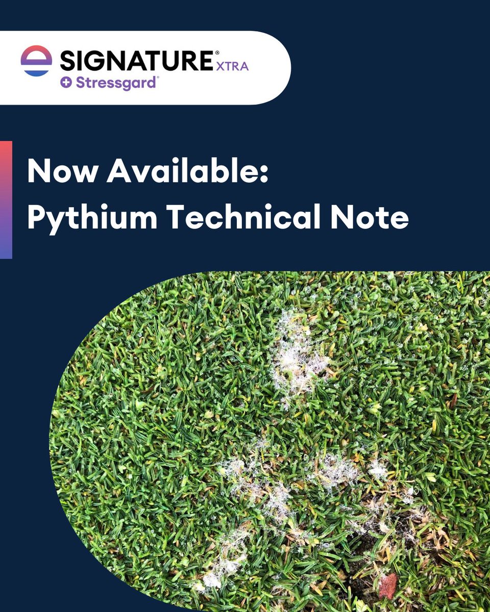 Pythium loves wet, warm, and humid conditions—making your turf vulnerable to root rot &amp; blight. Signature® Xtra provides a targeted solution to this problem. Find out more: go.envu.com/3V881VC