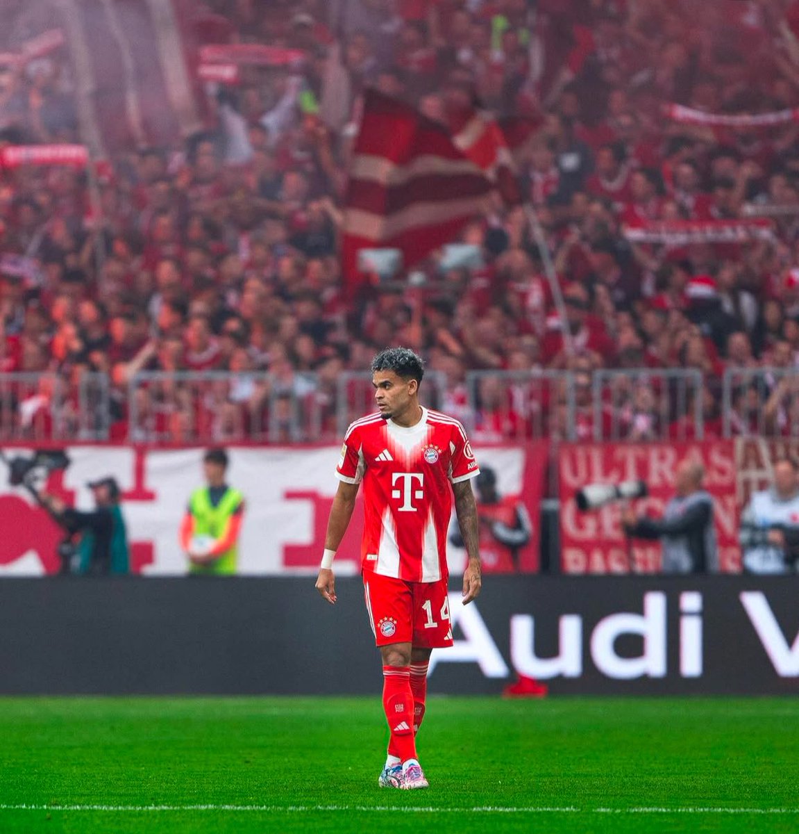 Pasión Tiburona tweet media