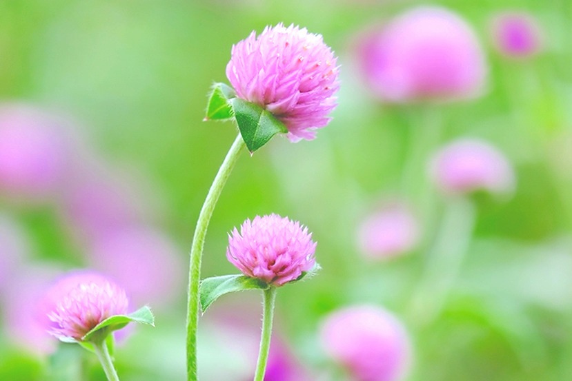 おはようございます。
今朝は「枕崎～なんめい」に癒されました！

サッと抽出して、サラリとバランスよく甘苦渋味が流れてく✨🍃2煎目は、しっとり濃厚で奥深い味わいが、美味しい～😊

ゆったり落ち着く～朝茶時間でした🤗🎵

「新潟｜うずまき屋さん」
【本日の１杯】今日もありがとう。