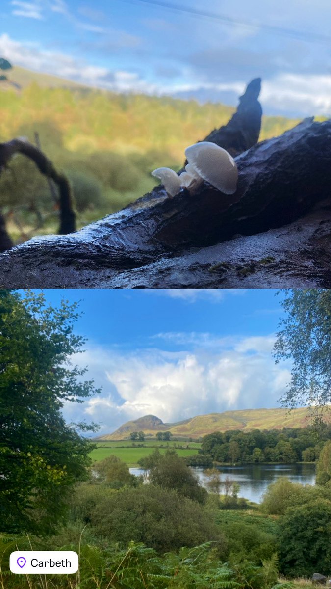 Miss Bell tweet media