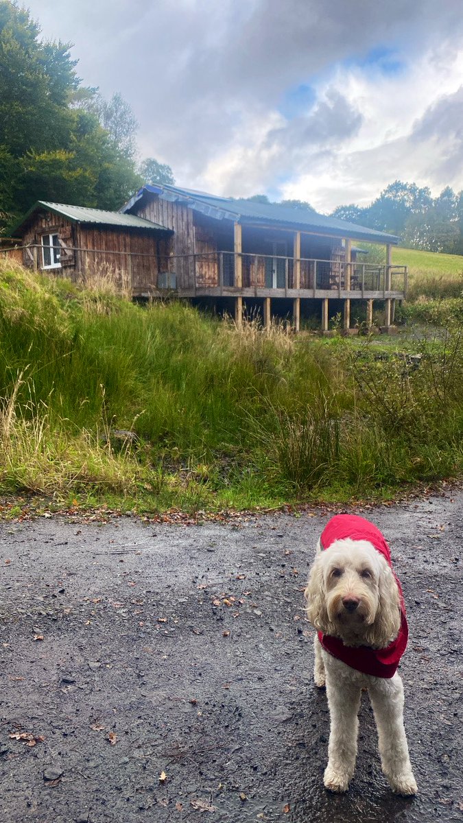 Miss Bell tweet media