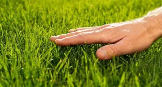 Lets touch the grass and touch the reward #touchthegrass #openseatouchgrass <a href="/opensea/">OpenSea</a>