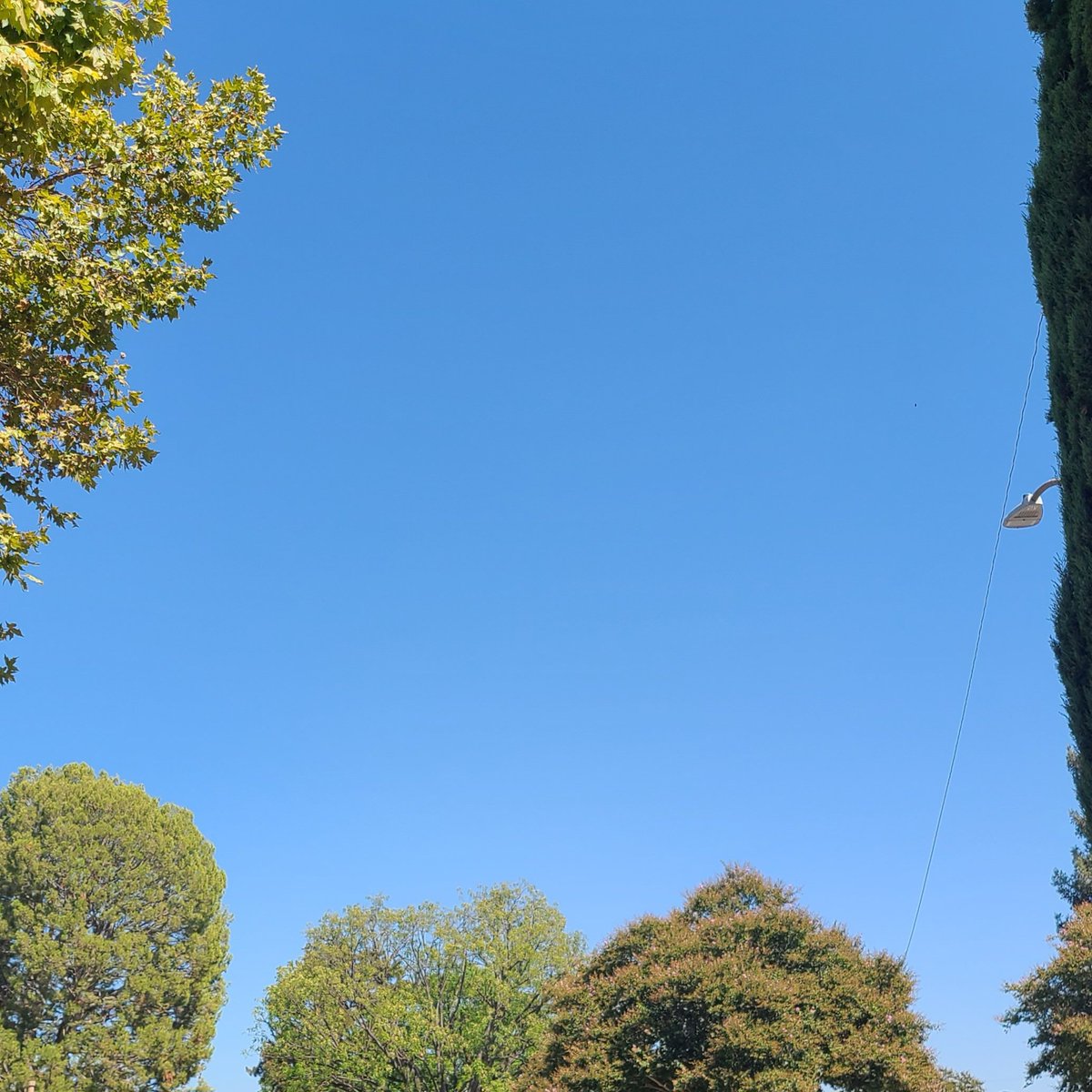 SoCal_ichiba's tweet image. 今日はこんなん売れましたー🎶

ありがとうございます🙏

今日も良い天気☀
日曜も働いてマース！
まだパジャマだけど
(^_-)-☆

#WhatSoldonEbay
#リセラー生活
#ebayer #ebaySeller
#ebayセラー