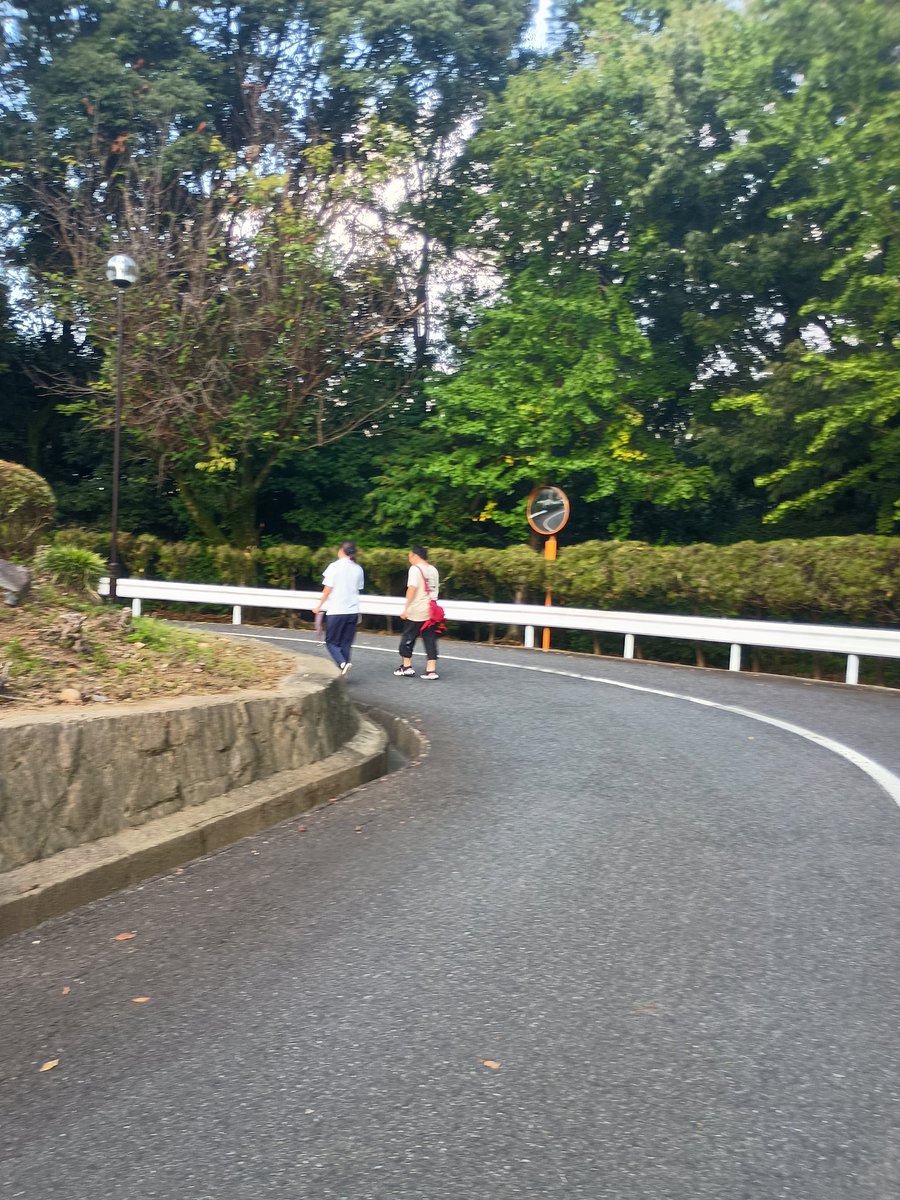 ワタリュウ/サブスリーなんておこがましい tweet media