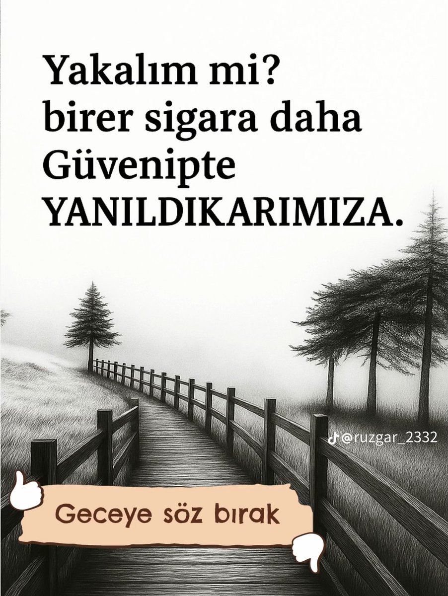 Sefer Yıldırım (@seferyl58526966) on Twitter photo 