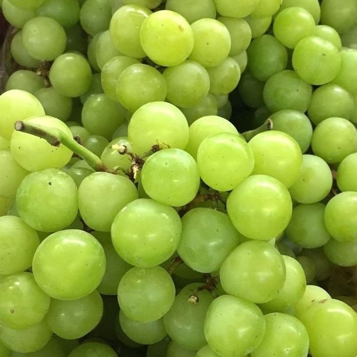 Food poll except it's just grapes!

...like literally, just grapes.

- an interactive 🧵  for edtwt?