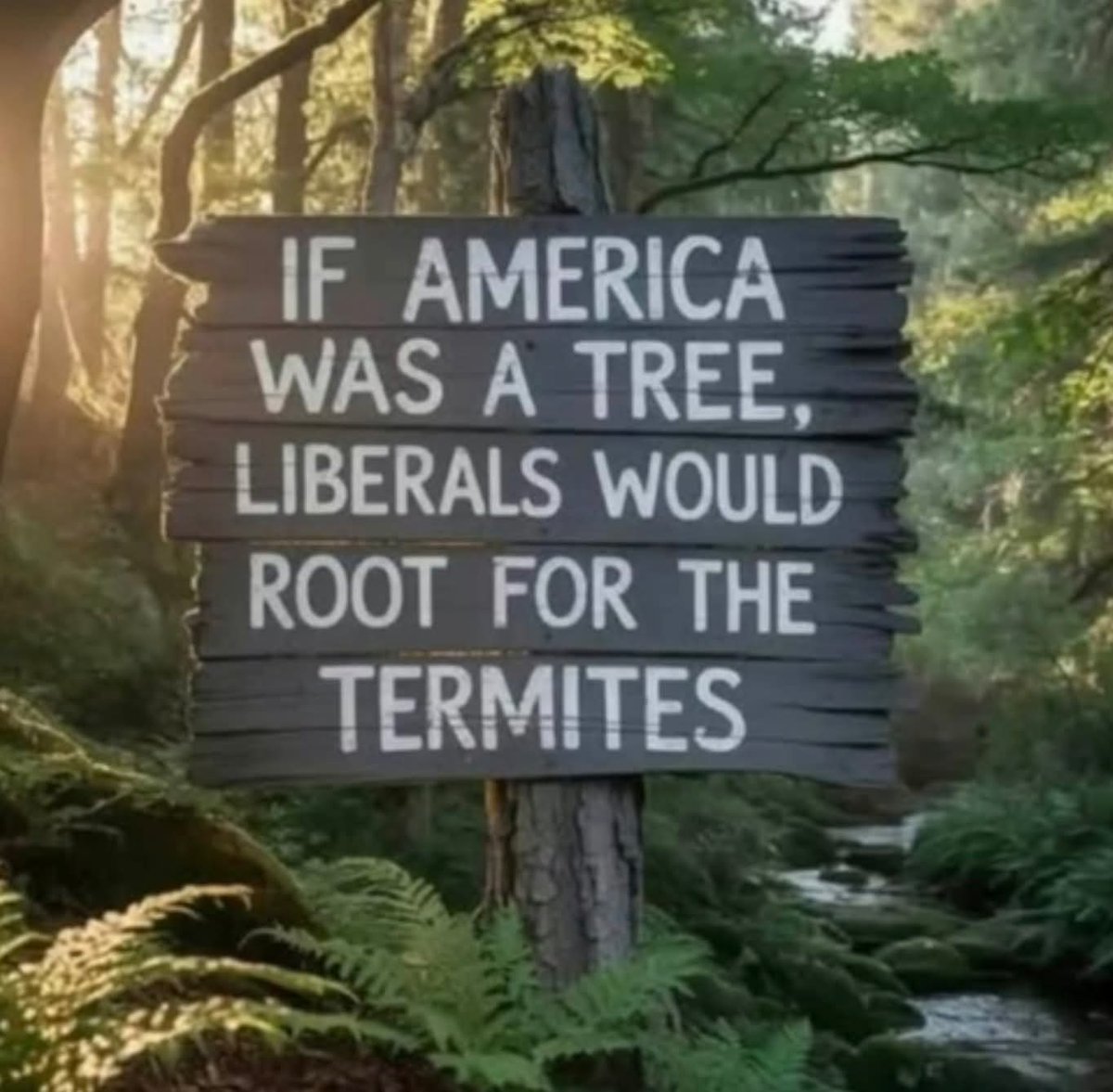 Obama wanted to divide America, &amp; now the Democrats &amp; mainstream media will do everything in their power to stop President Trump from uniting America &amp; MAKING AMERICA GREAT AGAIN!!