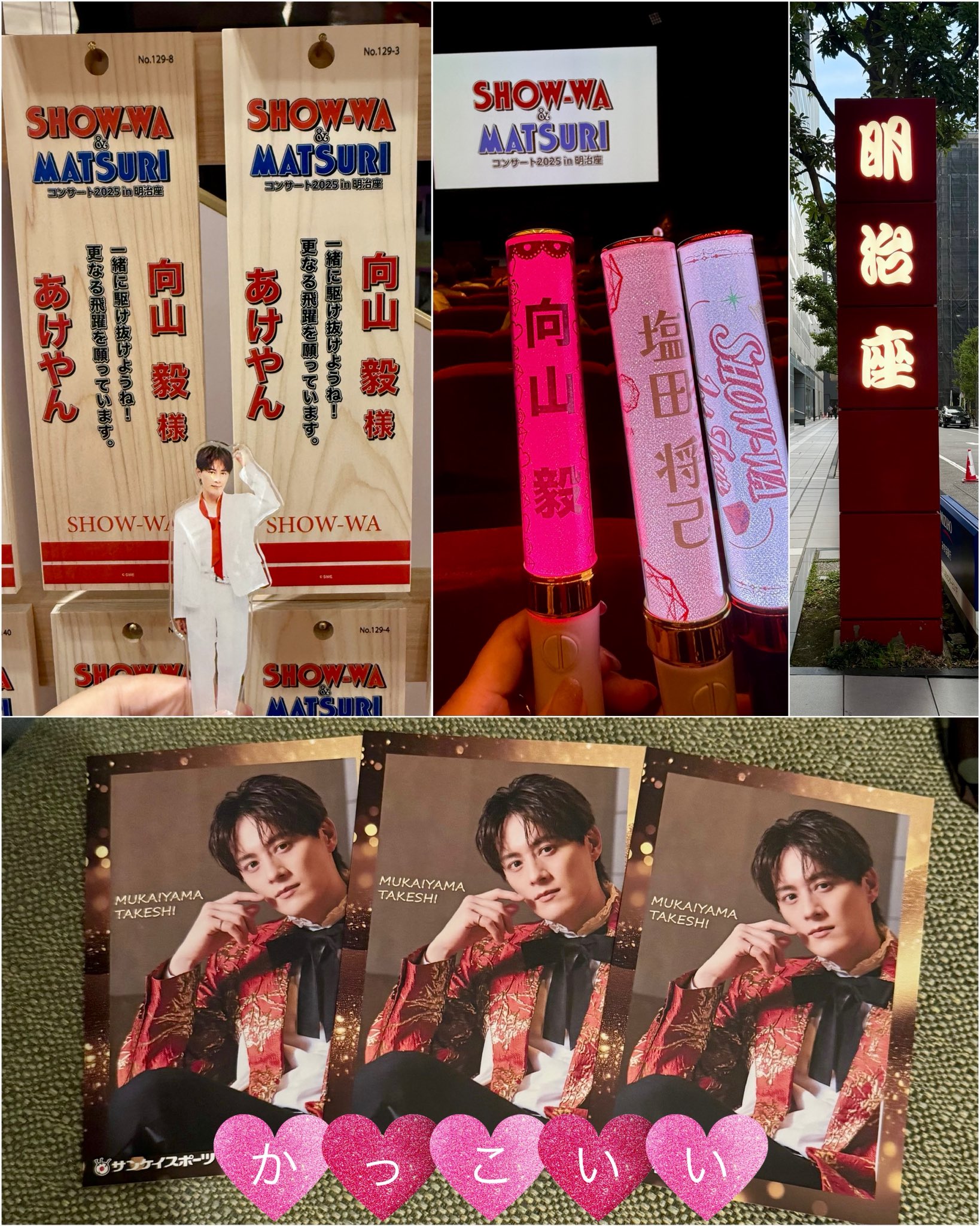 SHOW-WA Fanclub Tour 2025 ペンライト 、ポーチ 向山毅 向山 毅(Takeshi Mukaiyama) / SHOW-WA | 2024.3.30 1月から