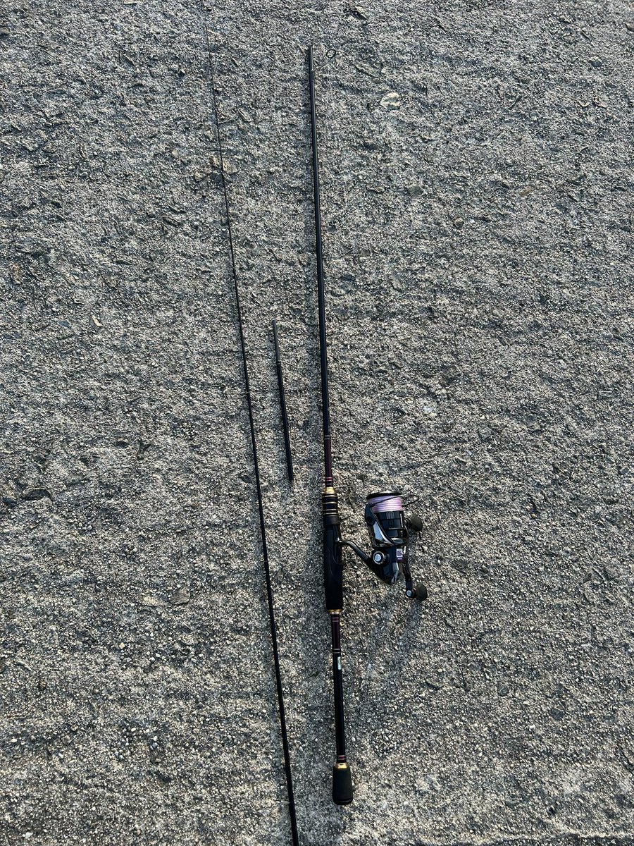 2本継ぎが3本継ぎになり機動性がアップしました❗️