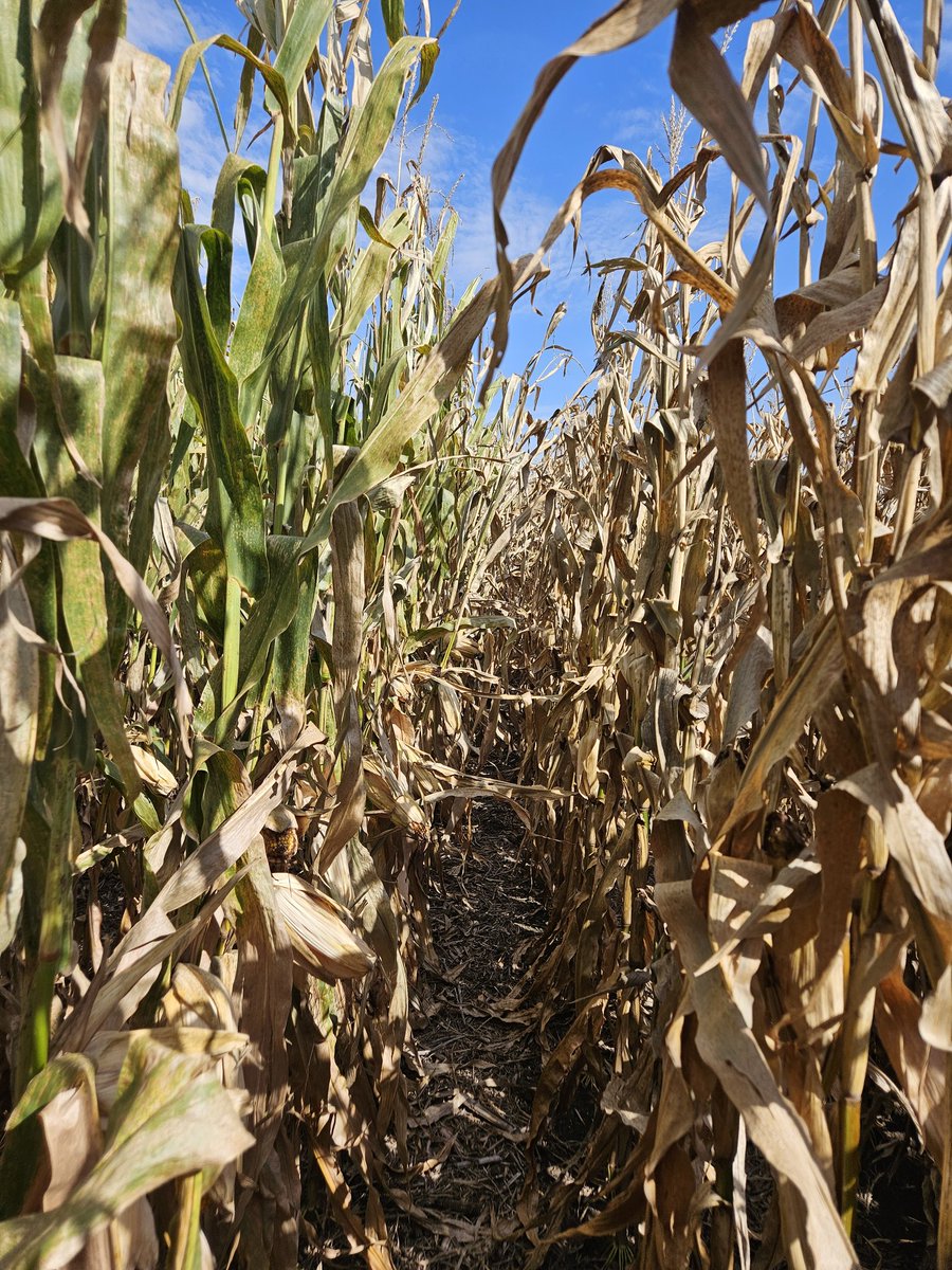 Greg Carpenter tweet media