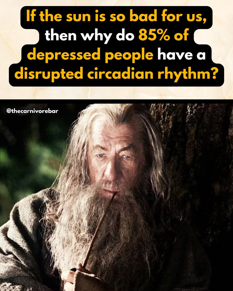 thecarnivorebar's tweet image. If the sun was truly harmful, why do 85% of depressed people have disrupted circadian rhythms—directly tied to lack of sunlight? 🌞 Balance, mood, and health all start with light. #Carnivore #MeatHeals #Sunlight