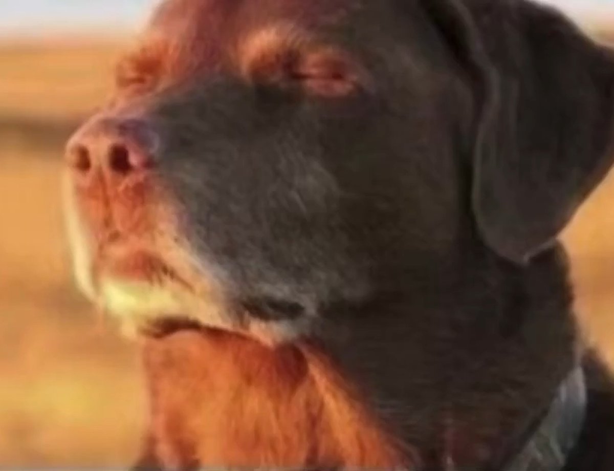 <a href="/MelansiaPutini/">Kana</a>