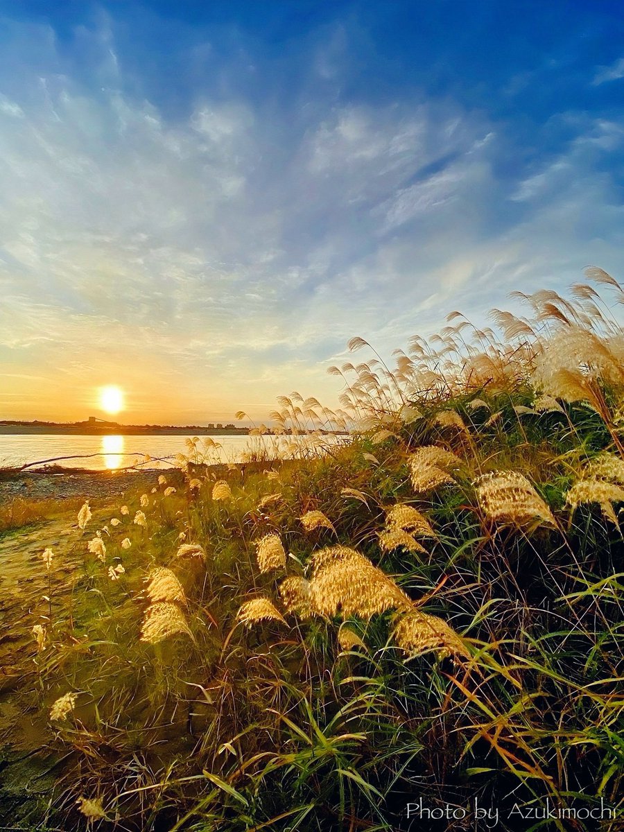 秋らしい朝が来た