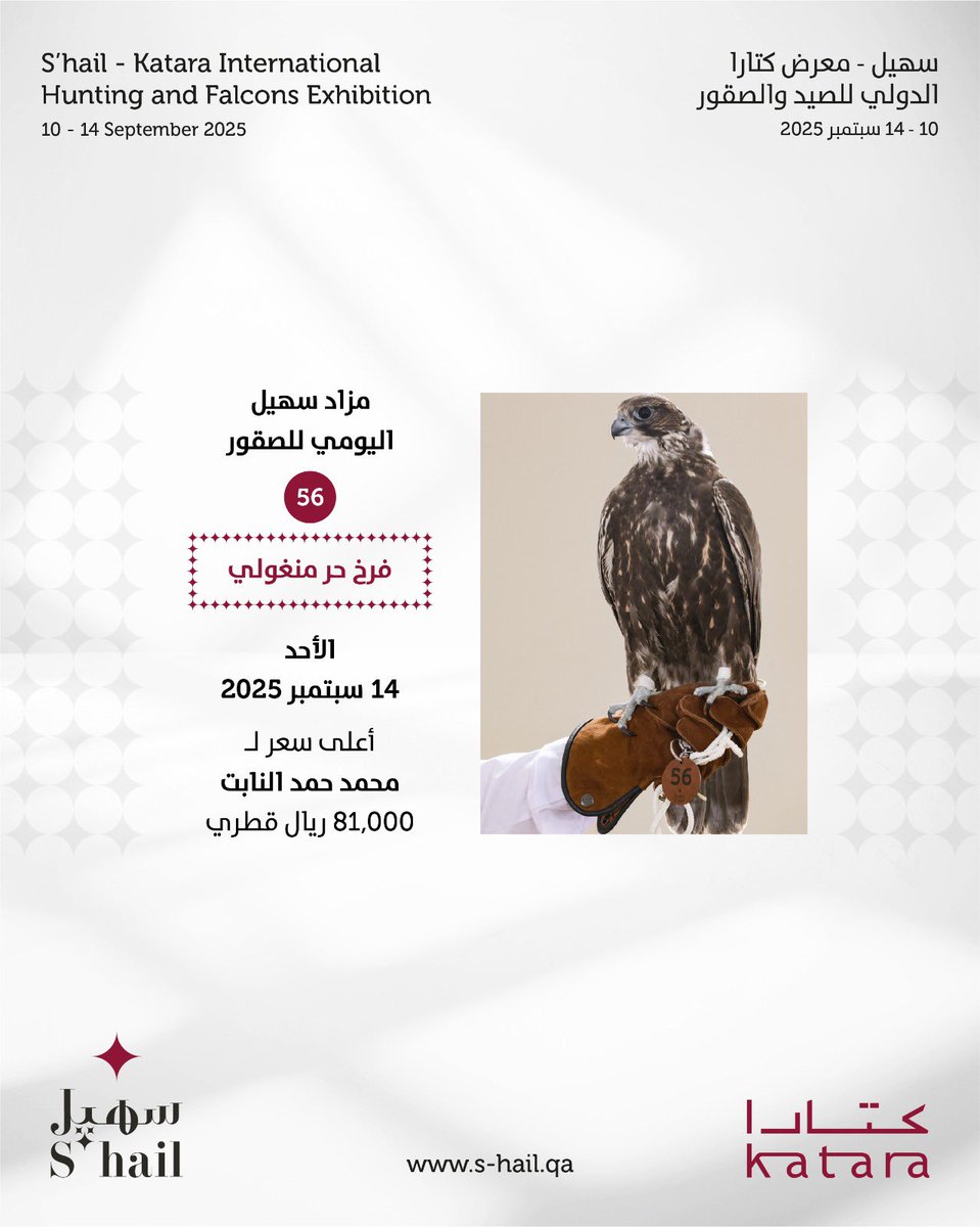S'hail | سهيل tweet media