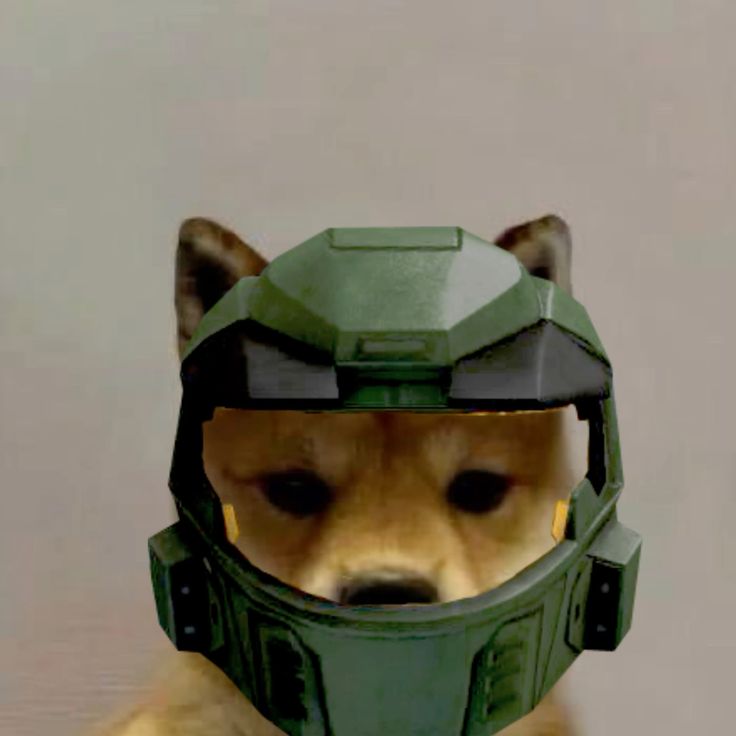 :v
