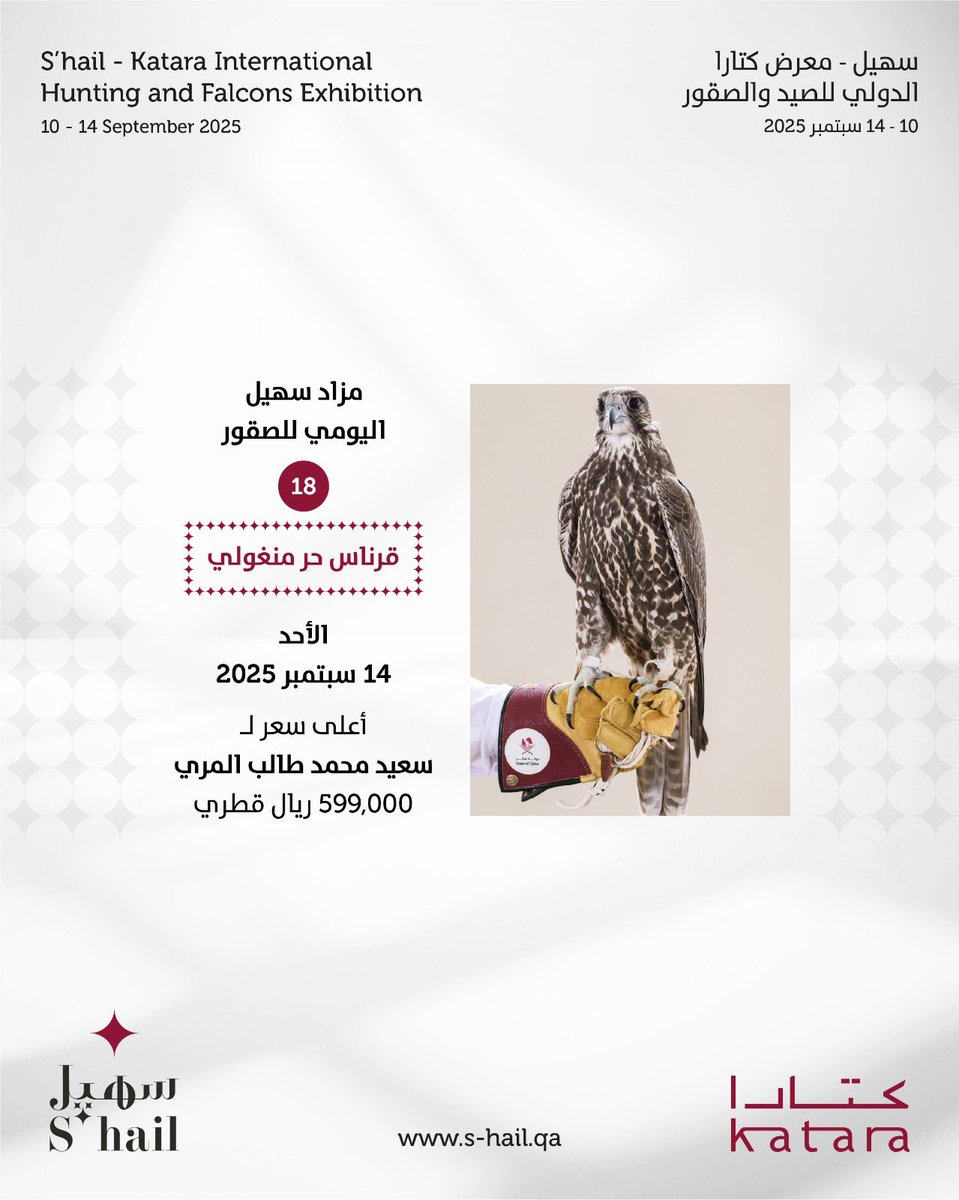 S'hail | سهيل tweet media