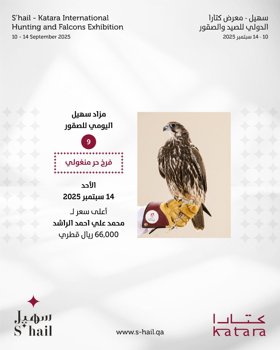 S'hail | سهيل tweet media