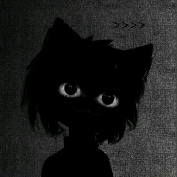 :v
